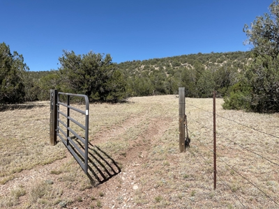 Land for sale with Septic Installed - image 6