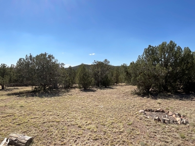 Land for sale with Septic Installed - image 7