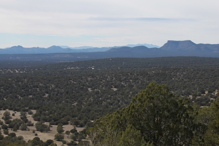 Land for sale with Septic Installed - image 2