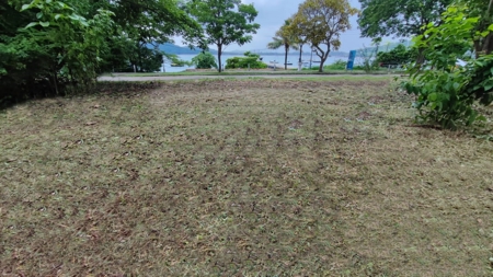 Prime land in Amador, CauseWay next to the Yacht Club - image 5