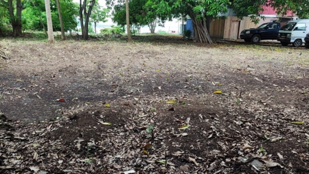 Prime land in Amador, CauseWay next to the Yacht Club - image 11