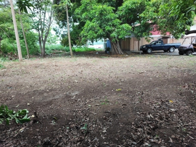 Prime land in Amador, CauseWay next to the Yacht Club - image 9