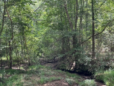 Cherokee County Texas Recreational Land For Sale - image 2