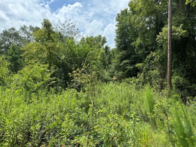 Cherokee County Texas Recreational Land For Sale - image 6