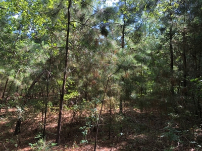 Cherokee County Texas Recreational Land For Sale - image 12
