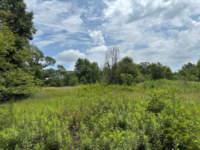 Cherokee County Texas Recreational Land For Sale - image 1