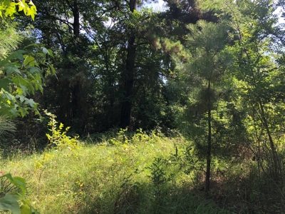 Cherokee County Texas Recreational Land For Sale - image 10