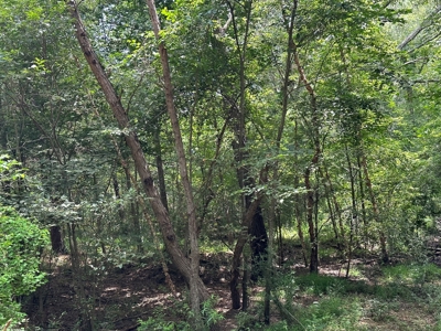 Cherokee County Texas Recreational Land For Sale - image 3