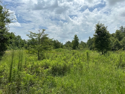 Cherokee County Texas Recreational Land For Sale - image 5