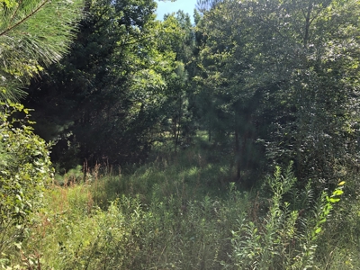 Cherokee County Texas Recreational Land For Sale - image 13
