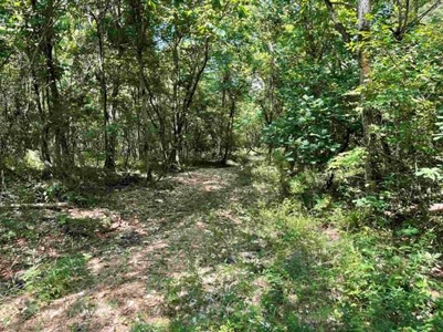 70 surveyed acres for sale Fulton County AR - image 13