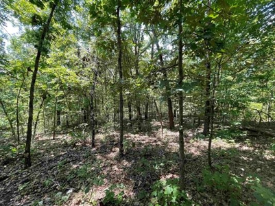70 surveyed acres for sale Fulton County AR - image 23