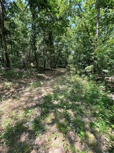 70 surveyed acres for sale Fulton County AR - image 12