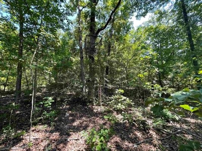 70 surveyed acres for sale Fulton County AR - image 18