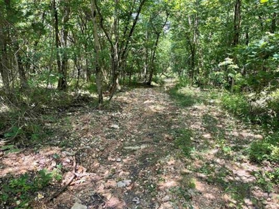 70 surveyed acres for sale Fulton County AR - image 14