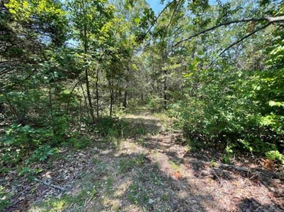 70 surveyed acres for sale Fulton County AR - image 9