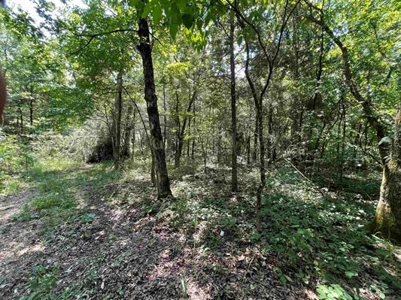 70 surveyed acres for sale Fulton County AR - image 15