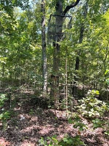 70 surveyed acres for sale Fulton County AR - image 17