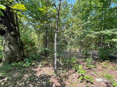 70 surveyed acres for sale Fulton County AR - image 5