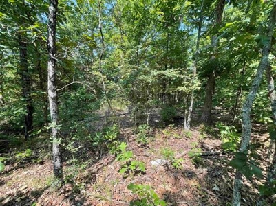 70 surveyed acres for sale Fulton County AR - image 4