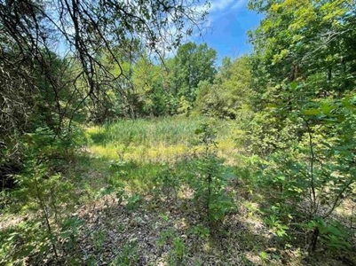 70 surveyed acres for sale Fulton County AR - image 11