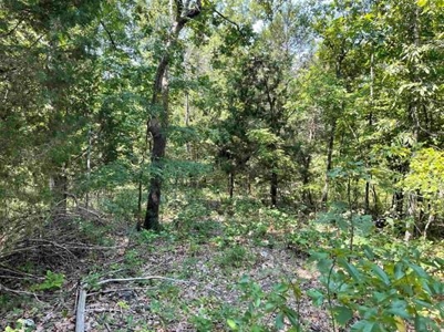 70 surveyed acres for sale Fulton County AR - image 8