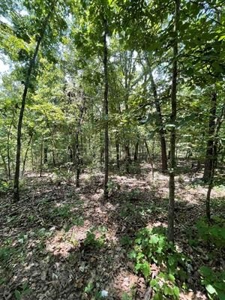 70 surveyed acres for sale Fulton County AR - image 22