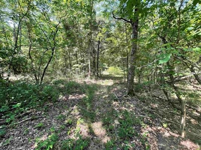 70 surveyed acres for sale Fulton County AR - image 16