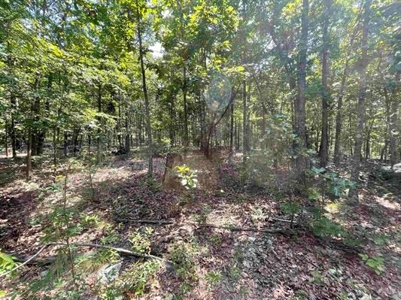 70 surveyed acres for sale Fulton County AR - image 2