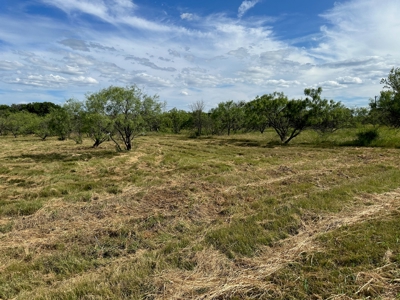 Lot 804805 in King's Point Cove Resort Lake Brownwood, TX - image 3