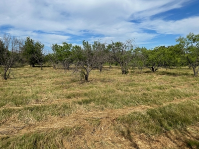 Lot 804805 in King's Point Cove Resort Lake Brownwood, TX - image 7