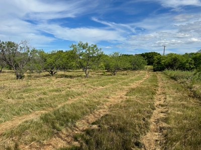 Lot 804805 in King's Point Cove Resort Lake Brownwood, TX - image 6