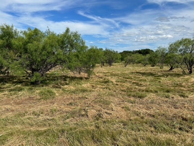 Lot 804805 in King's Point Cove Resort Lake Brownwood, TX - image 4