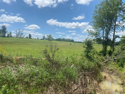 Land For Sale In Tn, 5 Acres, Septic, Driveway, City Water - image 17