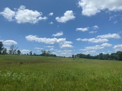 Land For Sale In Tn, 5 Acres, Septic, Driveway, City Water - image 16