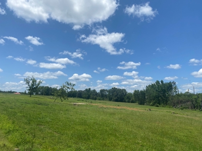 Land For Sale In Tn, 5 Acres, Septic, Driveway, City Water - image 18