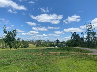 Land For Sale In Tn, 5 Acres, Septic, Driveway, City Water - image 5