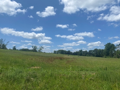 Land For Sale In Tn, 5 Acres, Septic, Driveway, City Water - image 2