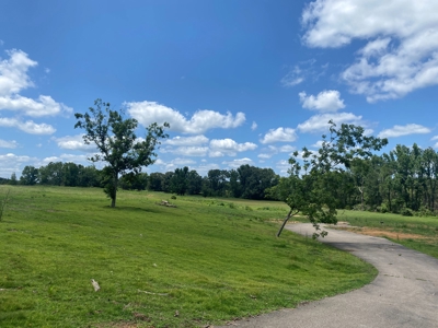 Land For Sale In Tn, 5 Acres, Septic, Driveway, City Water - image 4