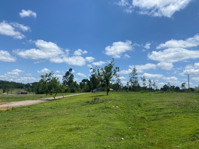 Land For Sale In Tn, 5 Acres, Septic, Driveway, City Water - image 10