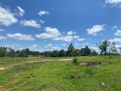 Land For Sale In Tn, 5 Acres, Septic, Driveway, City Water - image 11