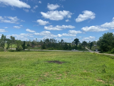 Land For Sale In Tn, 5 Acres, Septic, Driveway, City Water - image 1