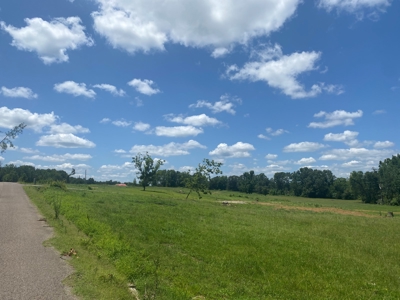 Land For Sale In Tn, 5 Acres, Septic, Driveway, City Water - image 19