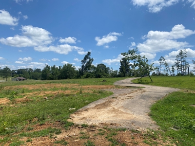 Land For Sale In Tn, 5 Acres, Septic, Driveway, City Water - image 14