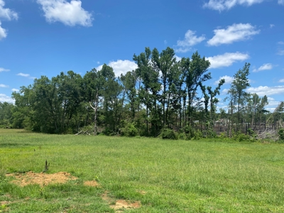 Land For Sale In Tn, 5 Acres, Septic, Driveway, City Water - image 12