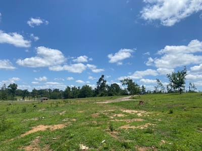 Land For Sale In Tn, 5 Acres, Septic, Driveway, City Water - image 13