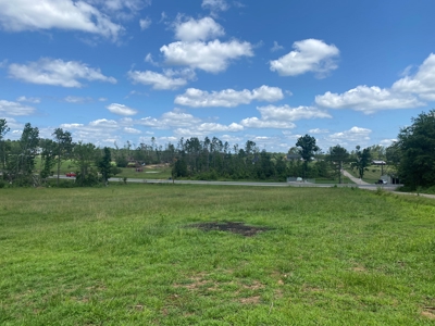 Land For Sale In Tn, 5 Acres, Septic, Driveway, City Water - image 3