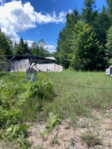 Wooded acres on North Caribou Lake road near Caribou Lake - image 10