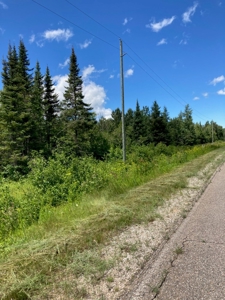 Wooded acres on North Caribou Lake road near Caribou Lake - image 1