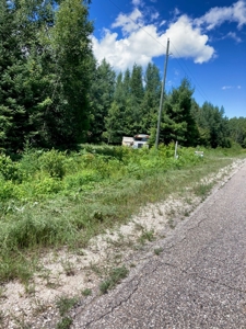Wooded acres on North Caribou Lake road near Caribou Lake - image 7